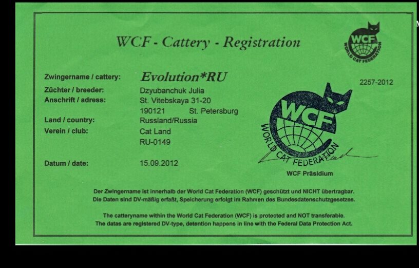 27654448_1111452519008540_7044456844440935512_n ⋆ Sassy Koonz Maine Coon Cattery