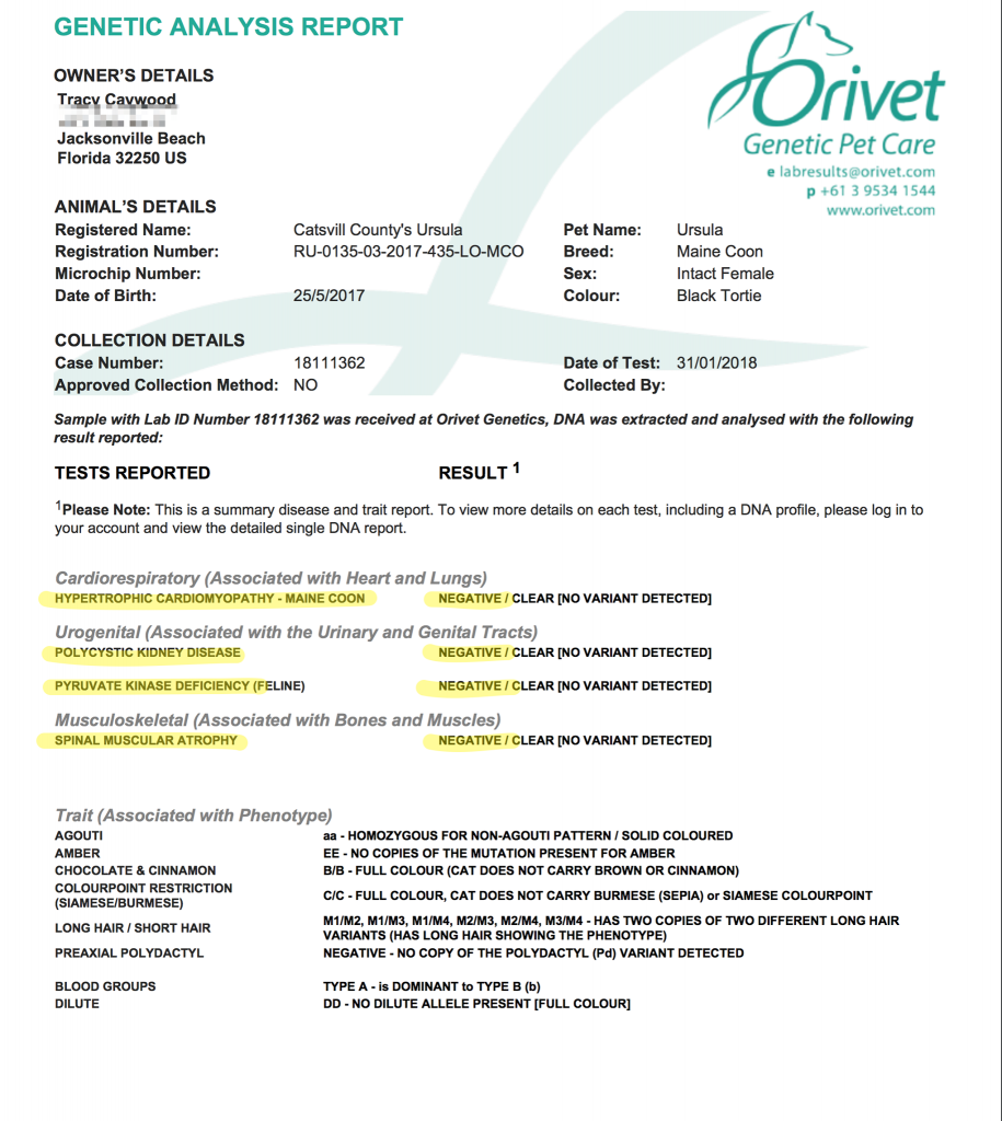 orivet genetic testing maine coon