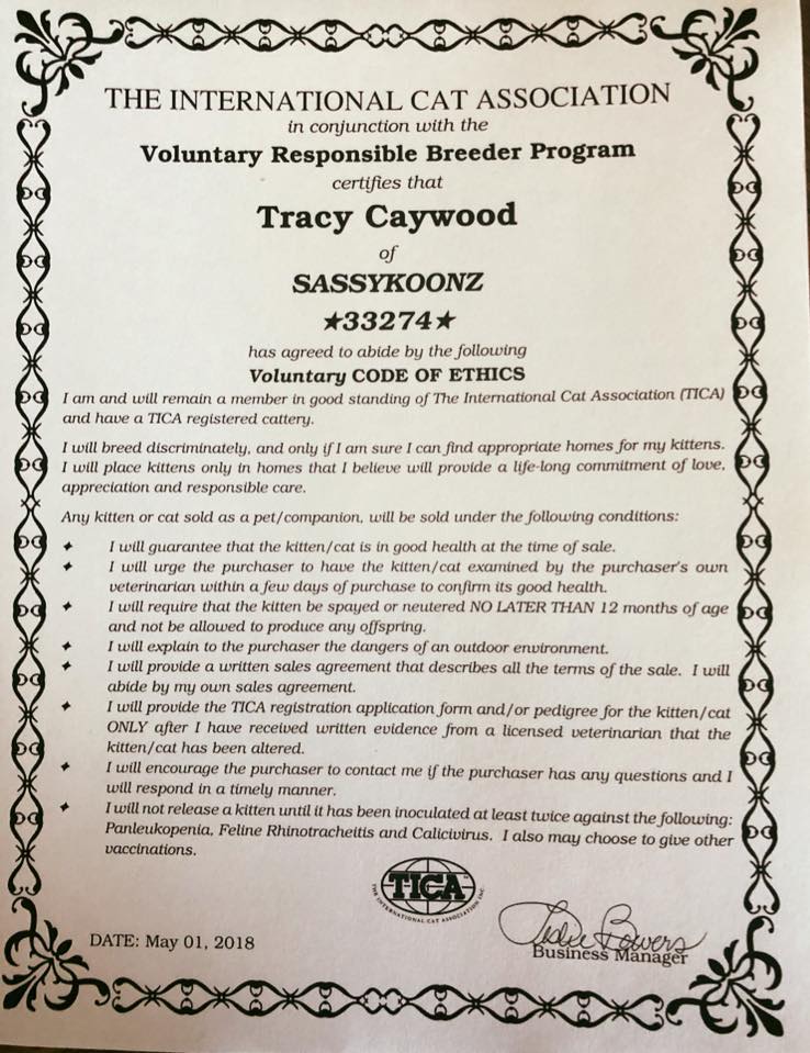 32212737_1527034977603927_1187505023655870464_n โ Sassy Koonz Maine Coon Cattery breeder code of ethics