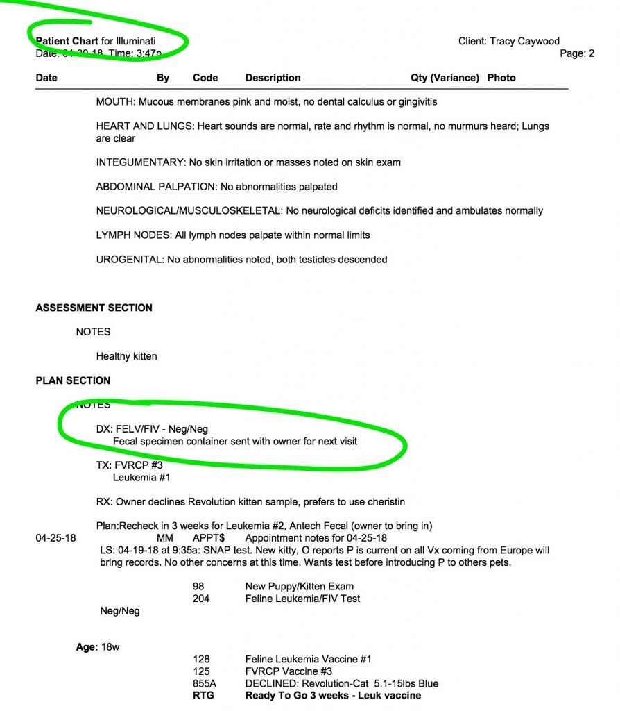 Illuminati FIV FELV Test ⋆ Sassy Koonz Maine Coon Cattery maine coon breeders test