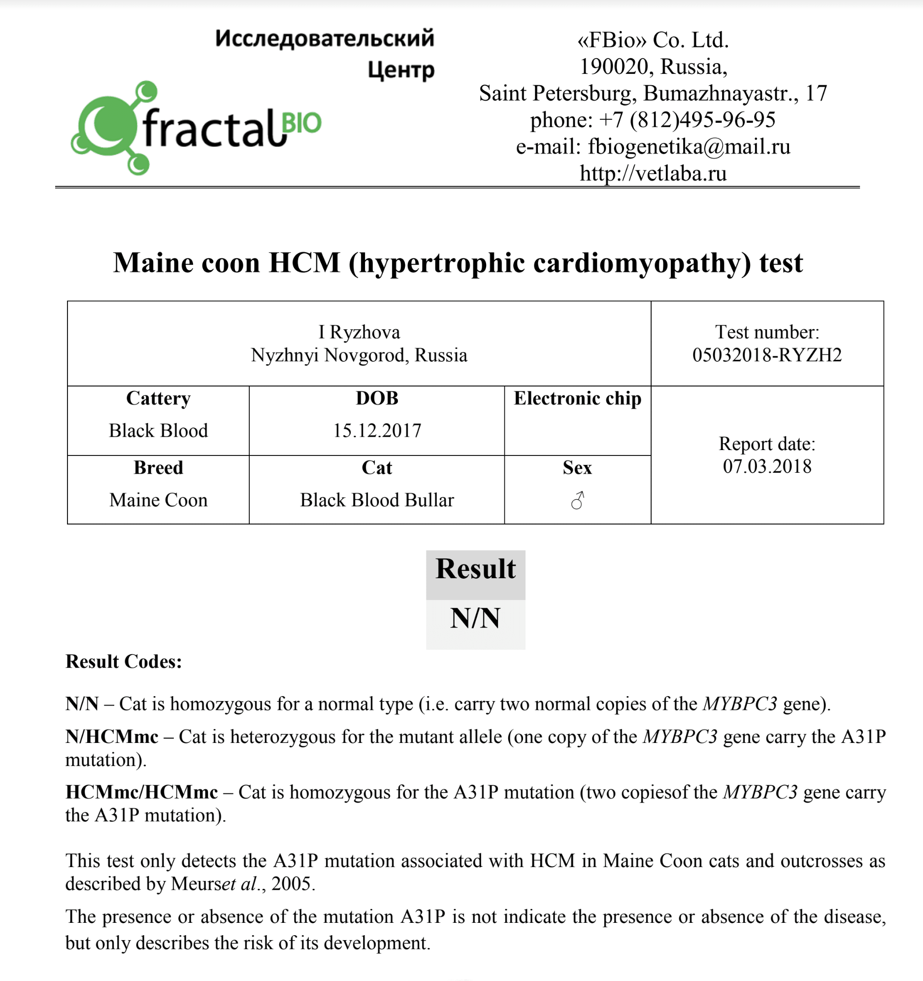 HCM test ⋆ Sassy Koonz Maine Coon Cattery maine coon breeders