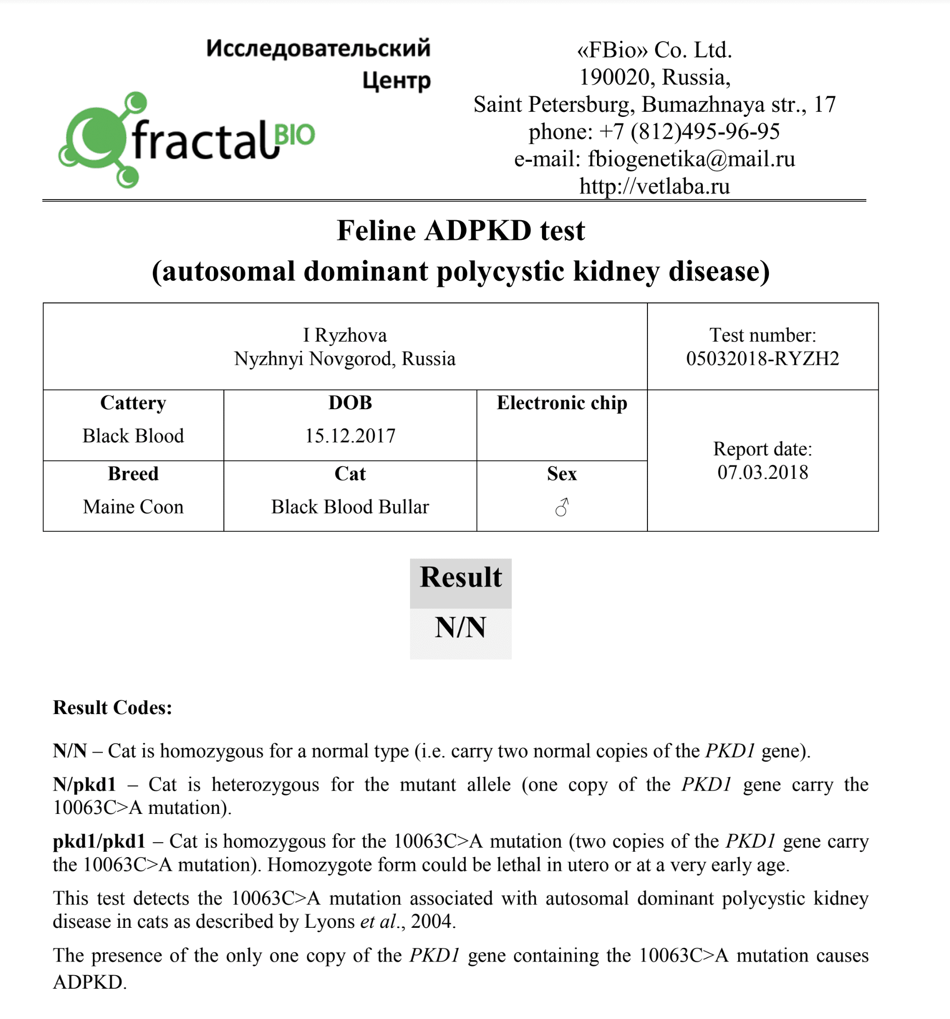 PKD Test ⋆ Sassy Koonz Maine Coon Cattery maine coon breeders