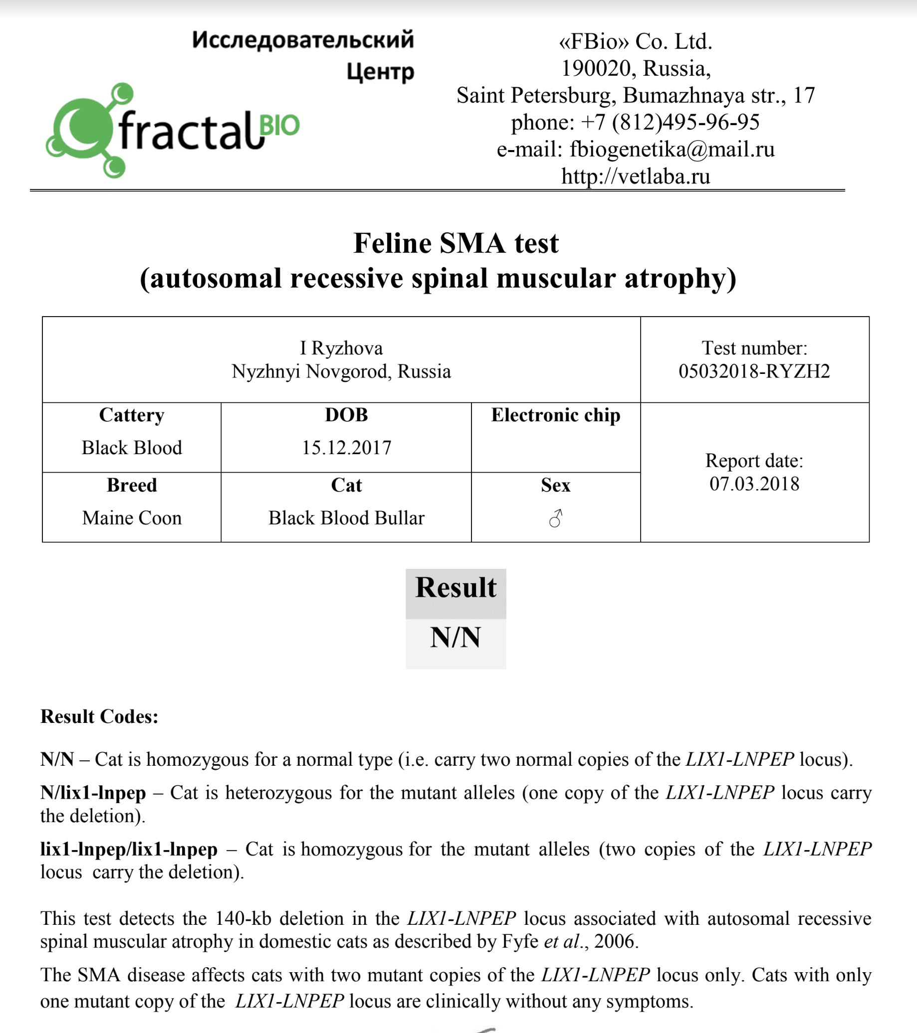 SMA Test Results ⋆ Sassy Koonz Maine Coon Cattery maine coon breeders