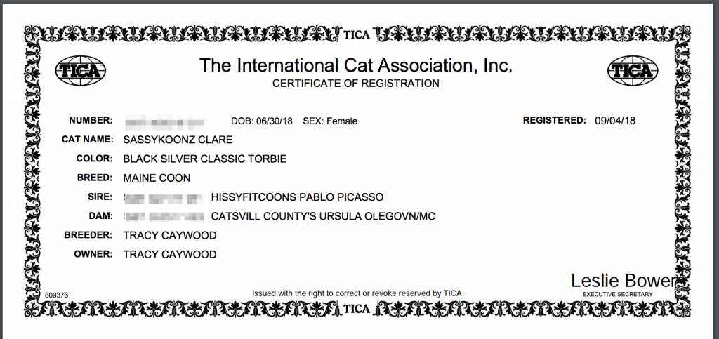 tica registration maine coon
