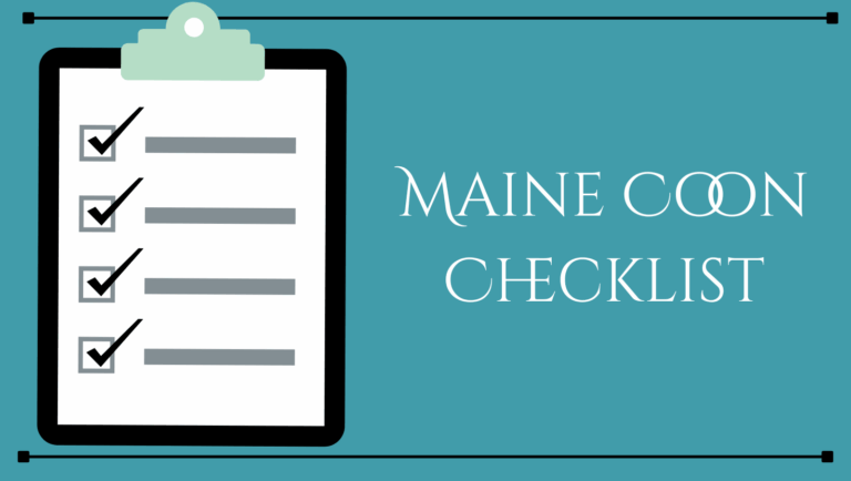 maine coon checklist featured image