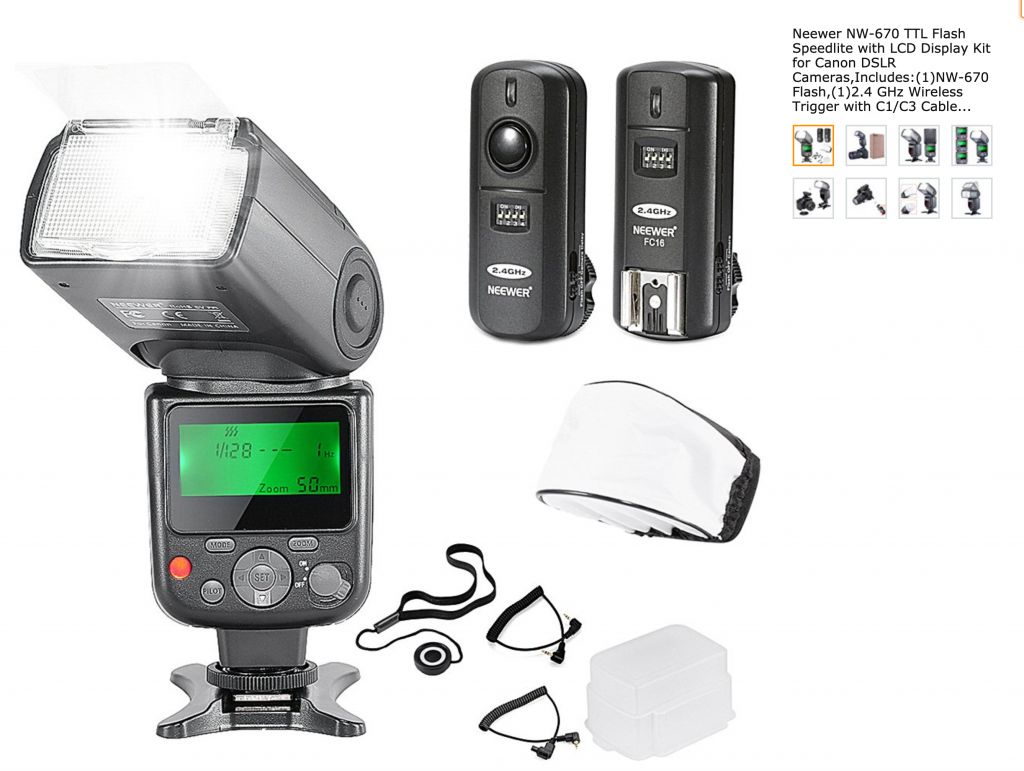 Canon Speedlight ⋆ Sassy Koonz Maine Coon Cattery how to photograph cats