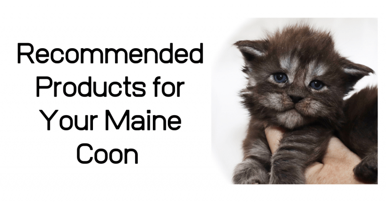 recommended products for Maine Coon