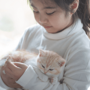 should i get a kitten