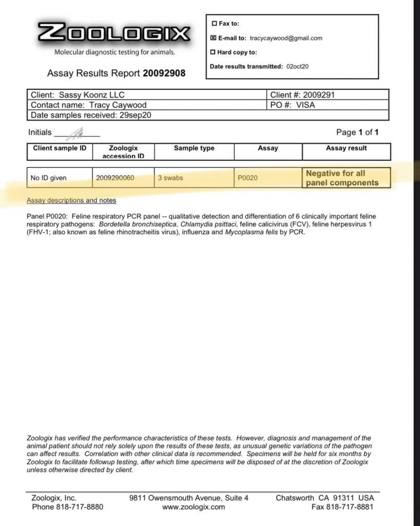 Headhunter-PCR-Test ⋆ Sassy Koonz Maine Coon Cattery PCR panel Maine coon