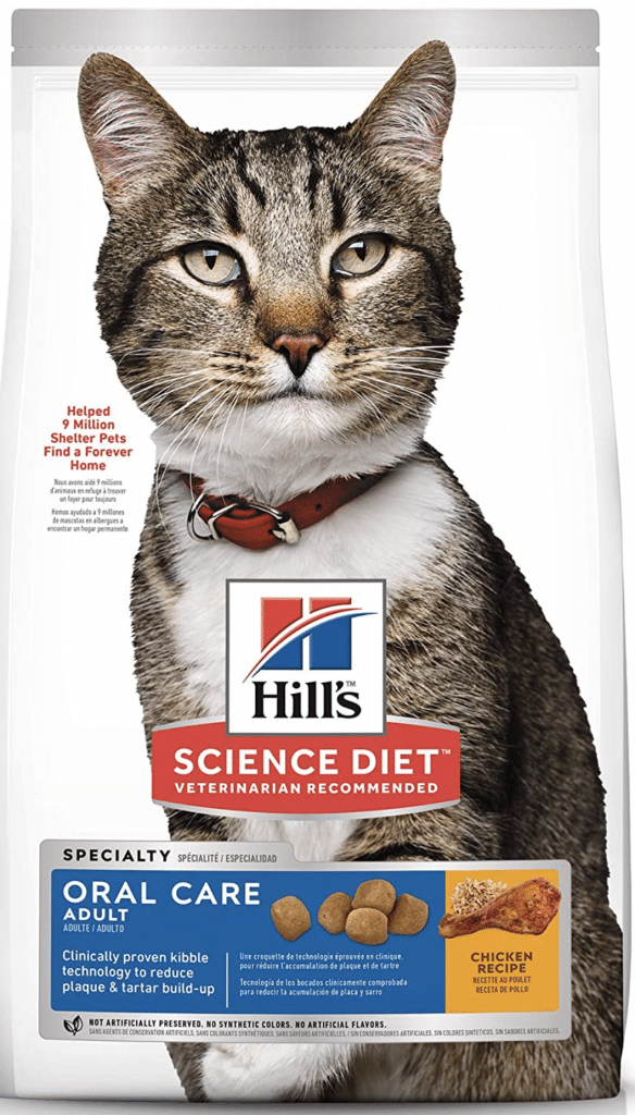 science-diet-oral-care ⋆ Sassy Koonz Maine Coon Cattery maine-coon-teeth