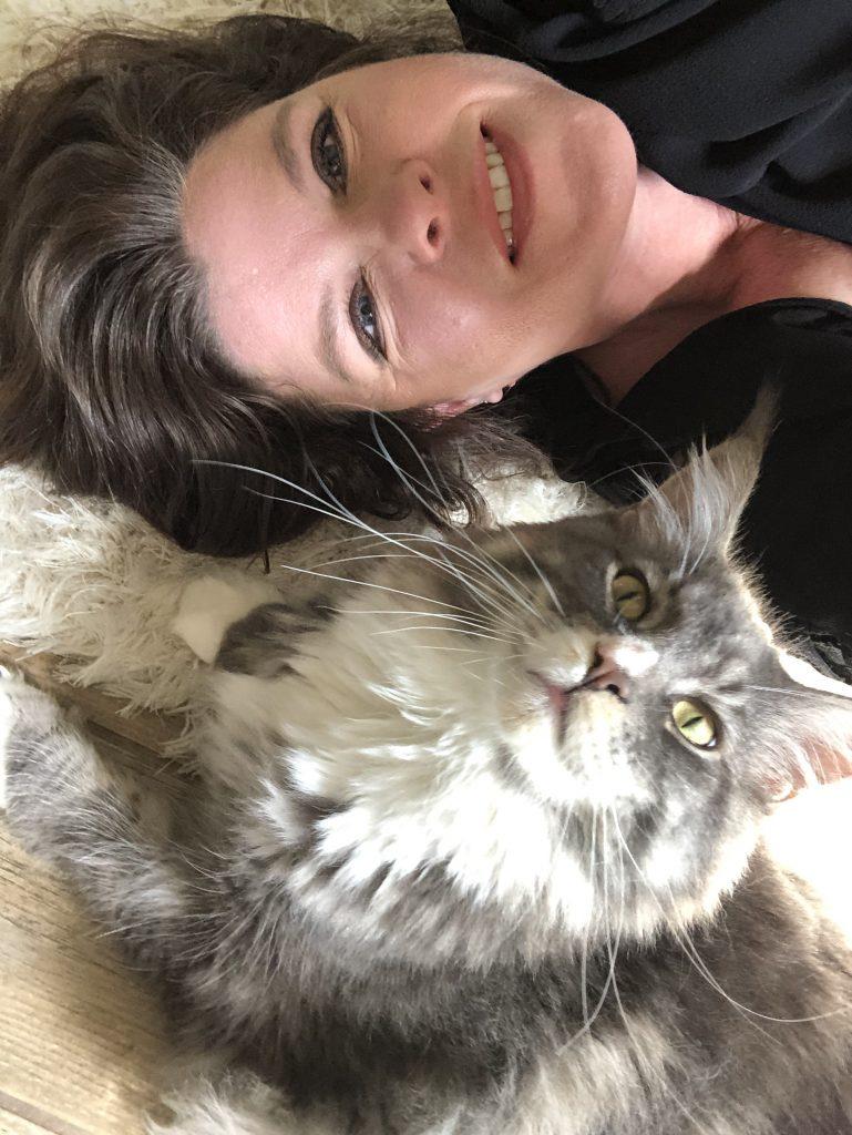 maine coon blue silver tabby with Tracy Caywood ⋆ Sassy Koonz Maine Coon Cattery maine coon blue silver tabby with Tracy Caywood, owner of sassy koonz cattery