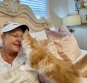 Sassy Koonz VooDoo ⋆ Sassy Koonz Maine Coon Cattery orange and white maine coon kitten