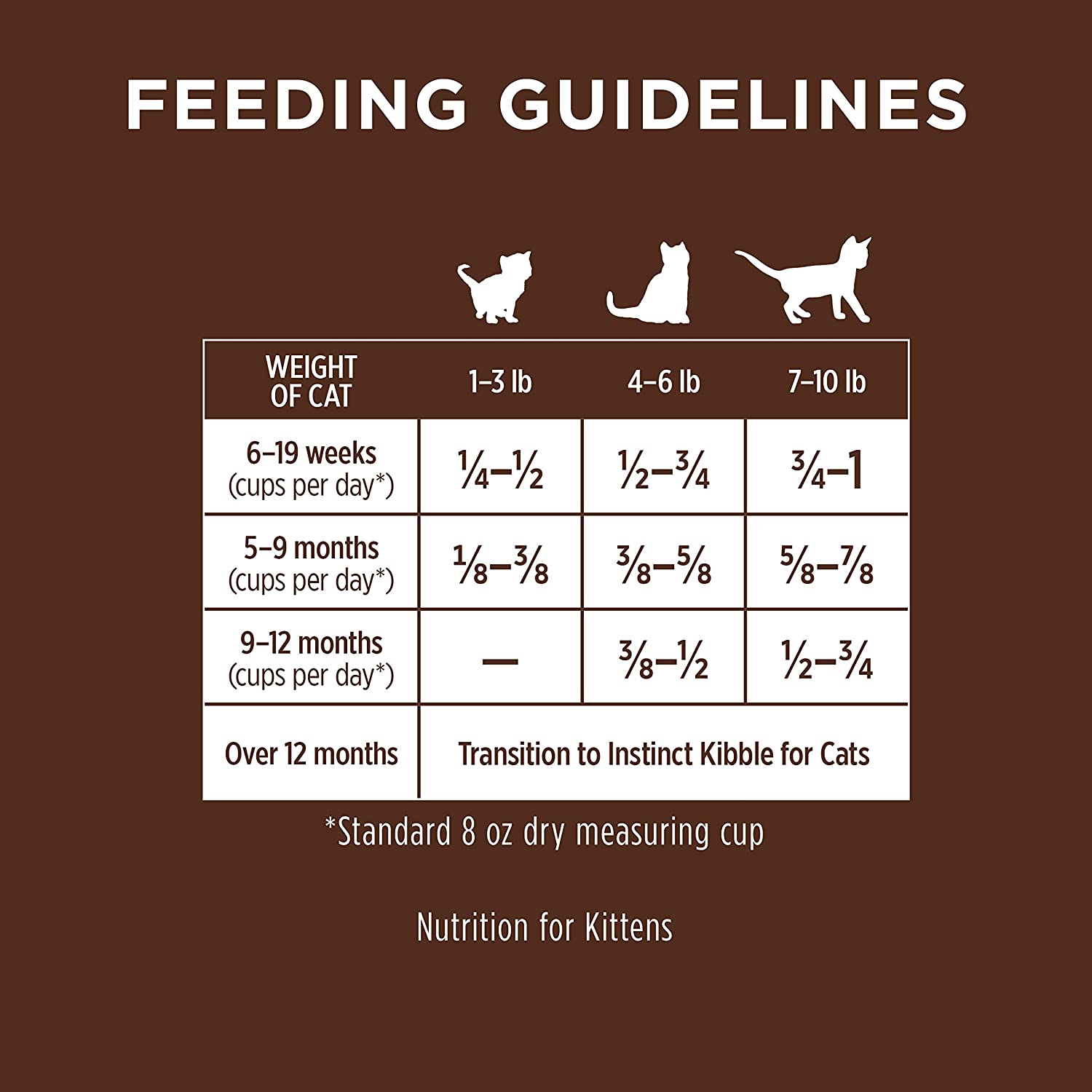 kitten feeding guidelines