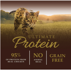 maine coon dry cat food