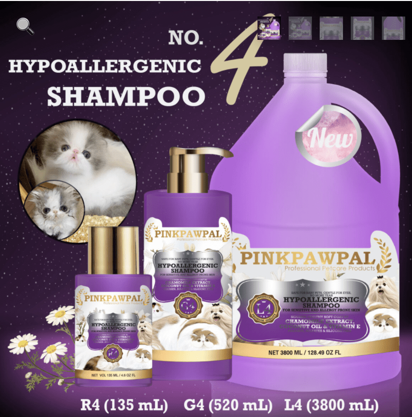 hypoallergenic-shampoo ⋆ Sassy Koonz Maine Coon Cattery hypoallergenic shampoo for a maine coon cat