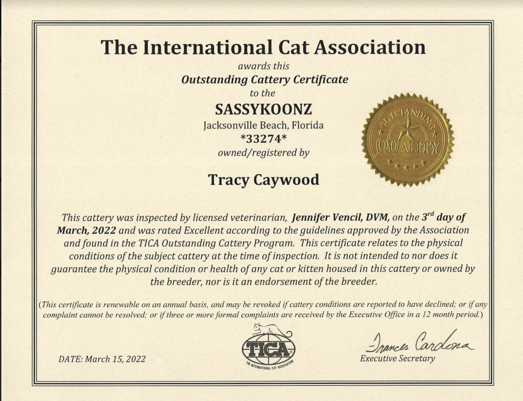 maine-coon-breeder-2022 ⋆ Sassy Koonz Maine Coon Cattery maine coon breeder