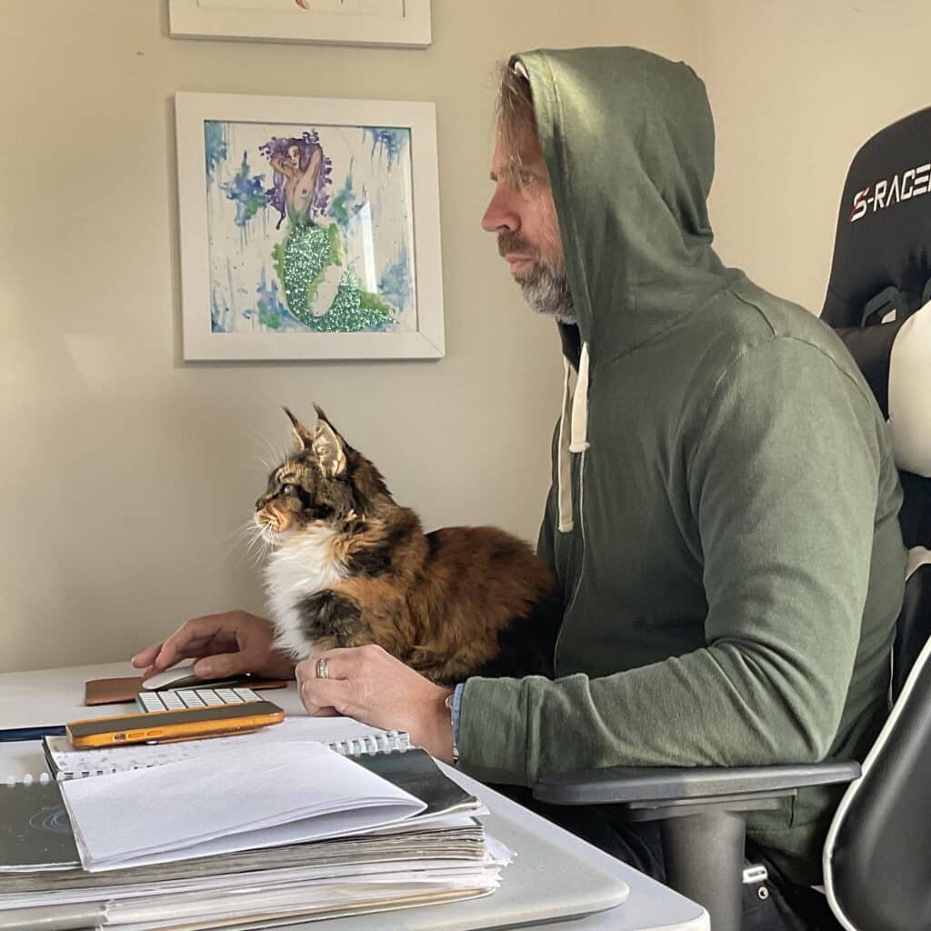 maine-coon-for-sale ⋆ Sassy Koonz Maine Coon Cattery maine coon for sale