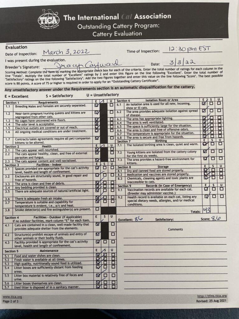 Maine-Coon-Kittens ⋆ Sassy Koonz Maine Coon Cattery maine coon kittens near me