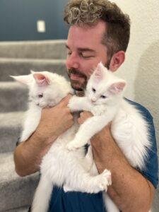 Maine Coon Kittens for Sale ⋆ Sassy Koonz Maine Coon Cattery man with two white maine coon kittens in his arms