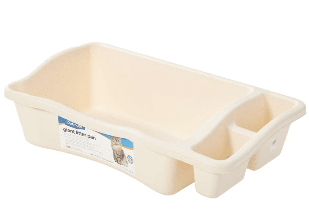 maine-coon-litter-box ⋆ Sassy Koonz Maine Coon Cattery extra large petmate litter box rubbermaid