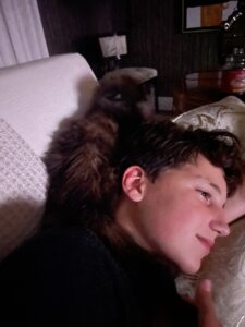 Maine Coon Kittens for Sale ⋆ Sassy Koonz Maine Coon Cattery Maine coon kitten cuddling on boys head