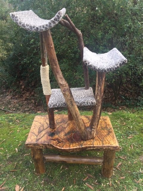 maine-coon-furwood-forest-cat-tree ⋆ Sassy Koonz Maine Coon Cattery maine coon furwood forest cat tree