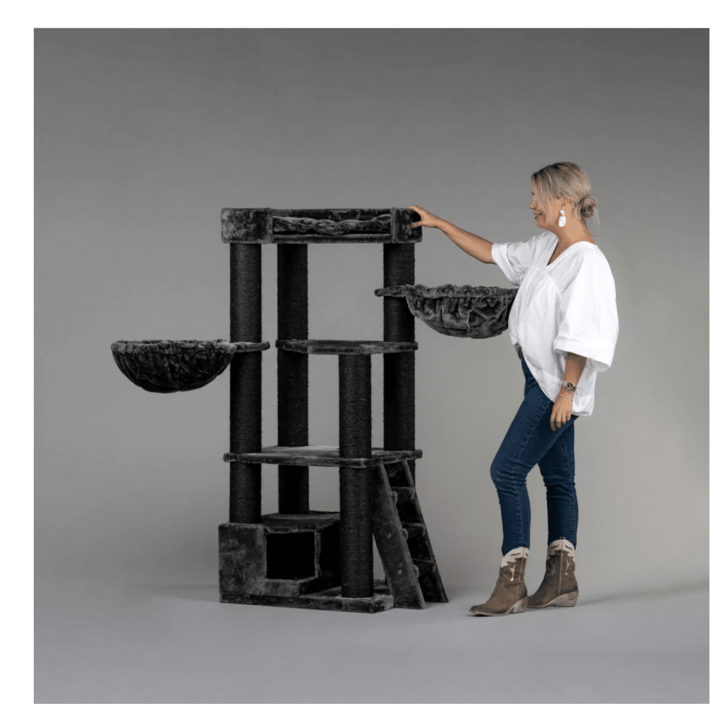 maine-coon-tree-cat-tree-king ⋆ Sassy Koonz Maine Coon Cattery maine coon cat tree king