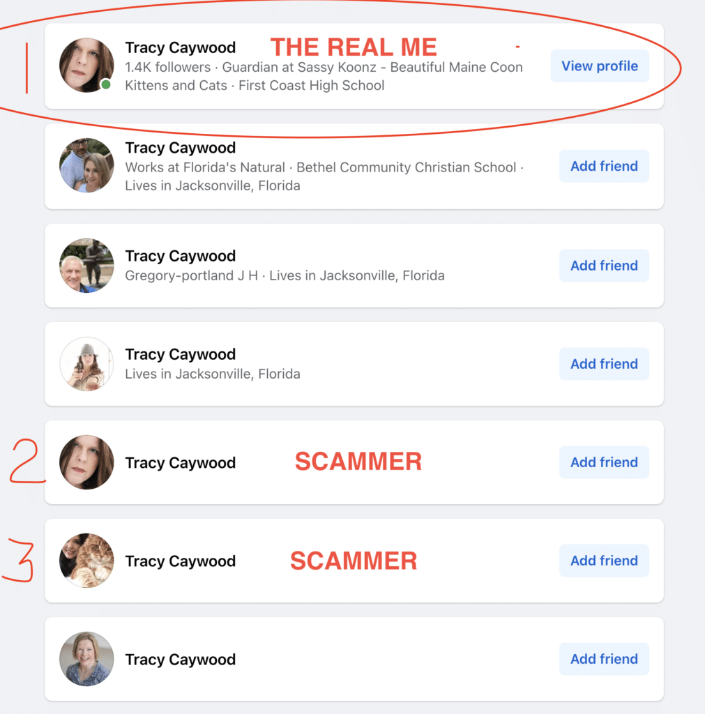 maine-coon-scams ⋆ Sassy Koonz Maine Coon Cattery red flags for maine coon scammers