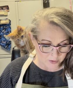 Masquerade - Maine Coon sitting on owners shoulder ⋆ Sassy Koonz Maine Coon Cattery sassy koonz maine coon kitten first day in new home sitting on new owners shoulder