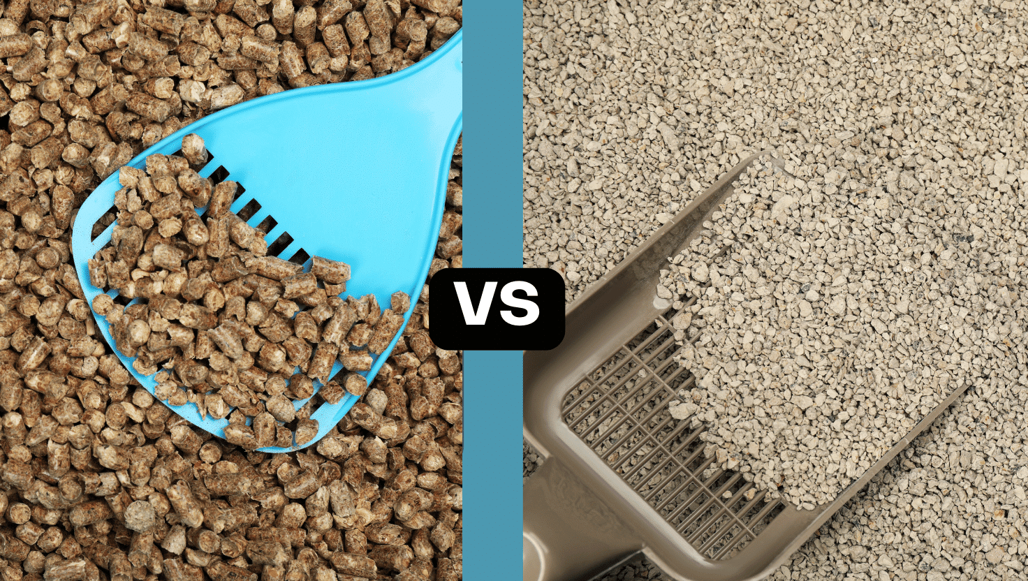 litter types โ Sassy Koonz Maine Coon Cattery pine pellets compraed to clumping clay litter