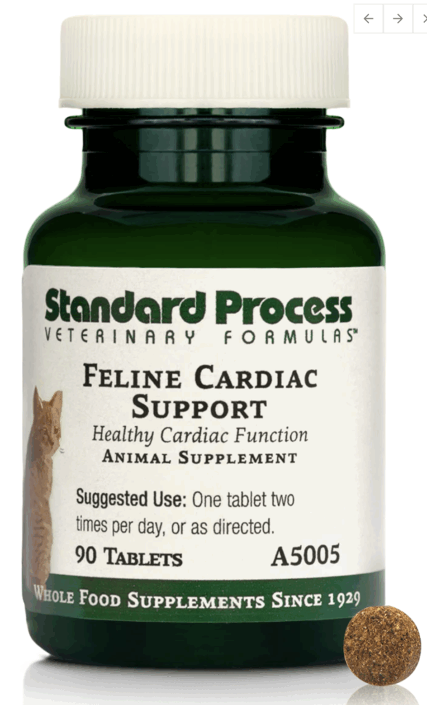 feline-cardiac-support-supplement โ Sassy Koonz Maine Coon Cattery feline cardiac suport supplement by natural process