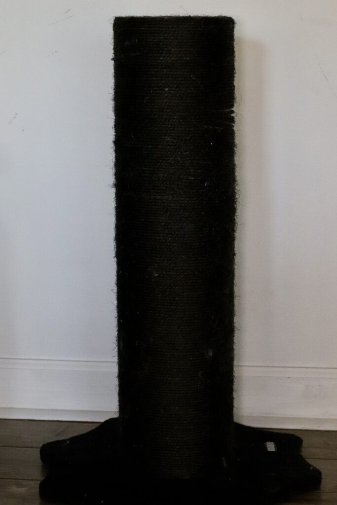 tall-black-scratching-post-for-maine-coon ⋆ Sassy Koonz Maine Coon Cattery xtra large black scratching post for maine coons