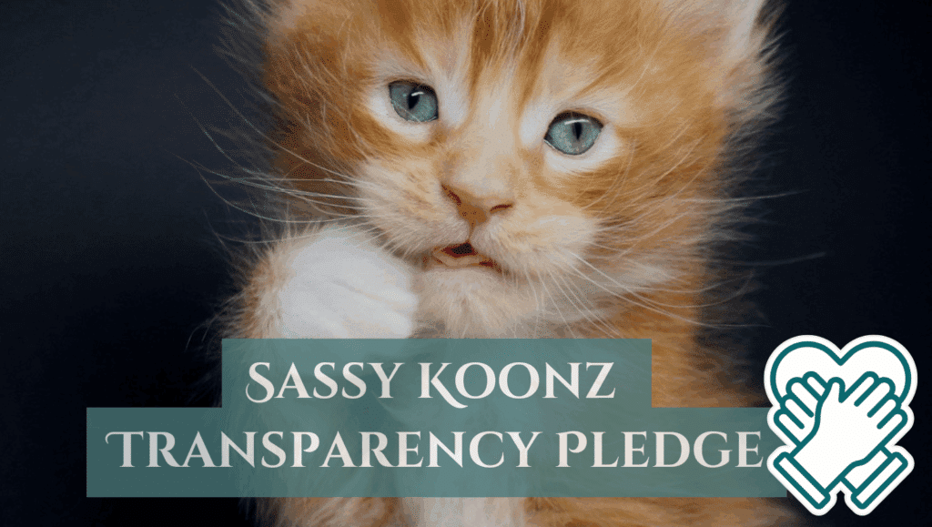 Sassy-Koonz-Transparency-Pledge ⋆ Sassy Koonz Maine Coon Cattery sassy koonz transparency pledge