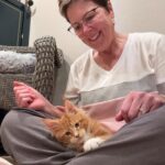 Hyde-ajpg ⋆ Sassy Koonz Maine Coon Cattery maine coon from sassy koonz at home with his new owner