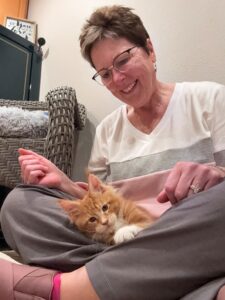 Hyde-ajpg ⋆ Sassy Koonz Maine Coon Cattery maine coon from sassy koonz at home with his new owner