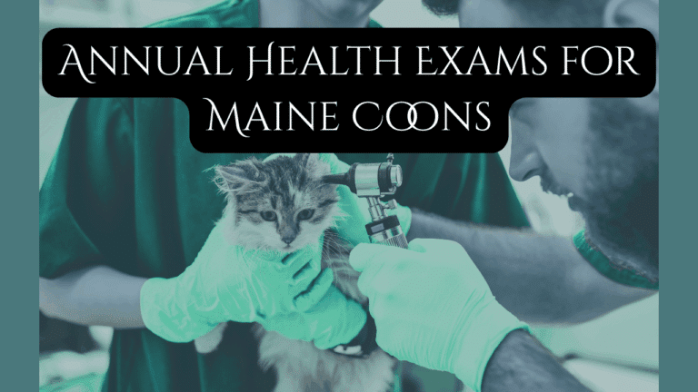 annual health exams for Maine coons featured image