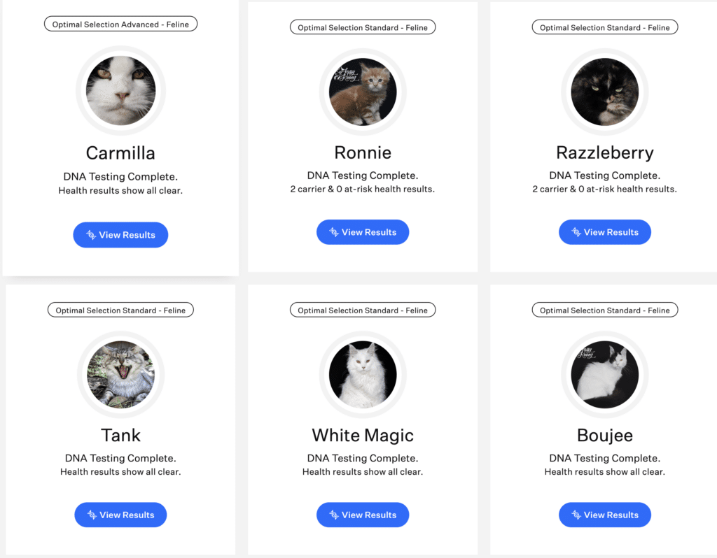 Screenshot 2026-04-07 at 113939 AM ⋆ Sassy Koonz Maine Coon Cattery sassy koonz account in wisdom health showing 6 breeding cats DNA test results preview