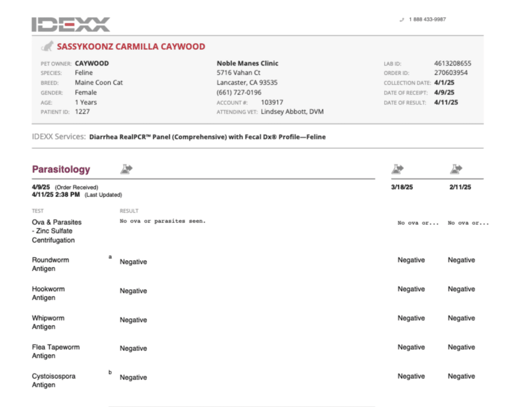 example-pcr-testing-sassy-koonz-cat ⋆ Sassy Koonz Maine Coon Cattery sassy koonz PCR testing results for carmilla, a breeding queen showing negative results for parasites