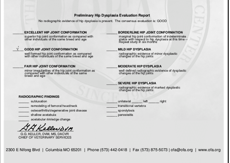 hip-dysplaysia-report-sassy-koonz ⋆ Sassy Koonz Maine Coon Cattery sassy koonz hip dysplaysia preliminary report for a breeding cat showing good hip join confirmation